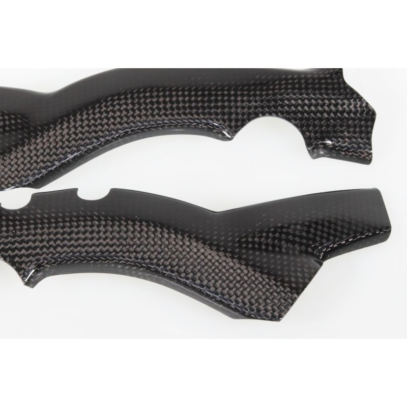 Protection cadre carbone 2M PARTS TRS partie basse courte