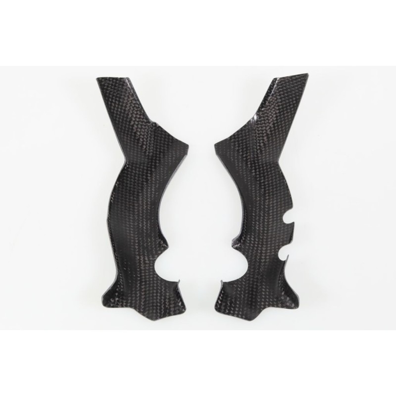 Protection cadre carbone 2M PARTS TRS partie basse courte