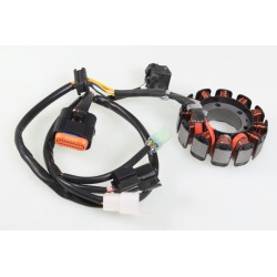 Allumage BETA 2019-2025 stator seul