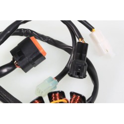 Allumage BETA 2019-2025 stator seul