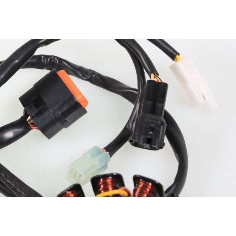 Allumage BETA 2019-2025 stator seul