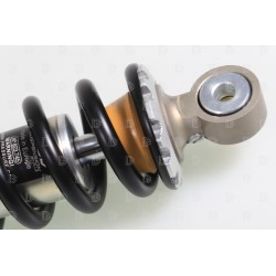 Amortisseur R16V BETA 2016> 80 Senior