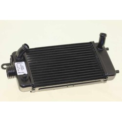 Radiateur BETA 2002-2025 rev/evo 50/80 seul
