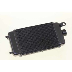 Radiateur BETA 2002-2025 rev/evo 50/80 seul