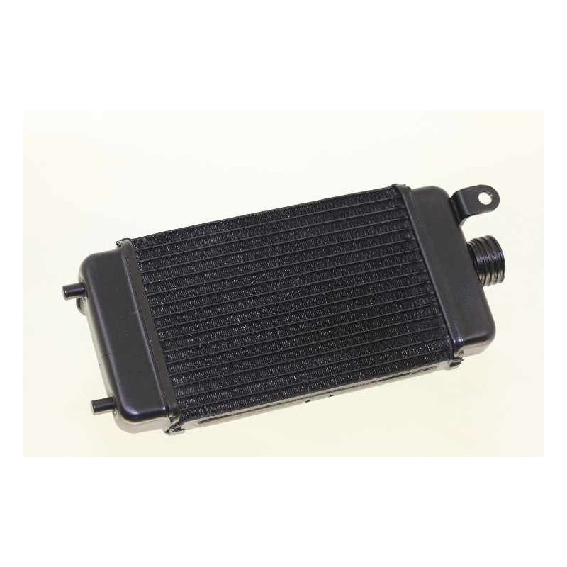 Radiateur BETA 2002-2025 rev/evo 50/80 seul