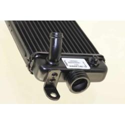 Radiateur BETA 2002-2025 rev/evo 50/80 seul