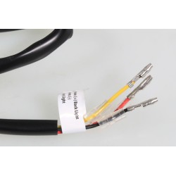 Bavette arrière à led et support plaque homologué complet