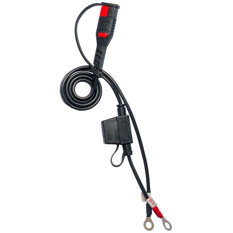 Chargeur batterie intelligent BS BATTERY BS10