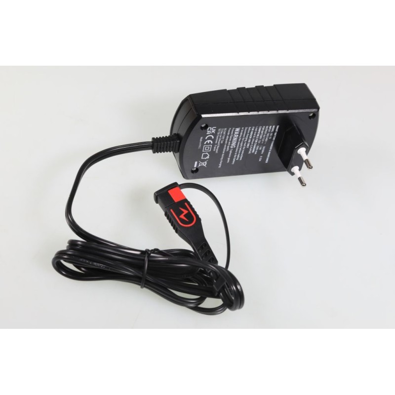 Chargeur batterie intelligent BS BATTERY BS10