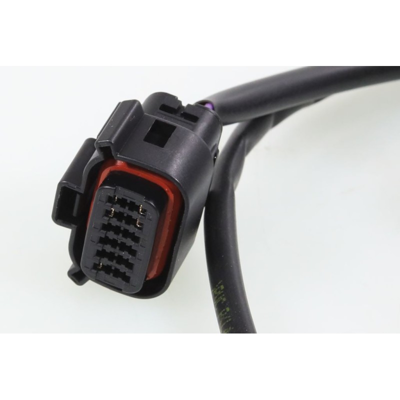 Kit boitier EM Connect ELECTRIC MOTION 2023-2024