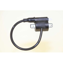 Bobine allumage GASGAS 2002-2022