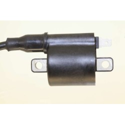 Bobine allumage GASGAS 2002-2022
