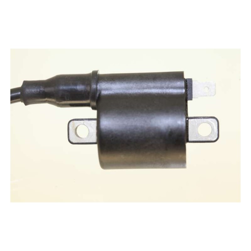 Bobine allumage GASGAS 2002-2022