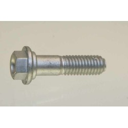 Vis fixation etrier avant GASGAS 2000-2022 inferieur
