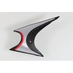 Protege radiateur GASGAS 2005 300 gauche gris