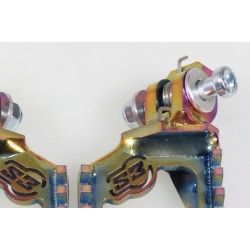 Repose pied titane S3 Curve Punk Rainbow