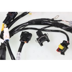 Faisceau électrique SHERCO/SCORPA 2025-2026 principal