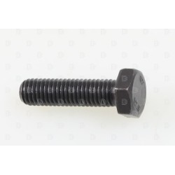 Vis pédale de frein AR SHERCO/SCORPA 2023-2026 noire