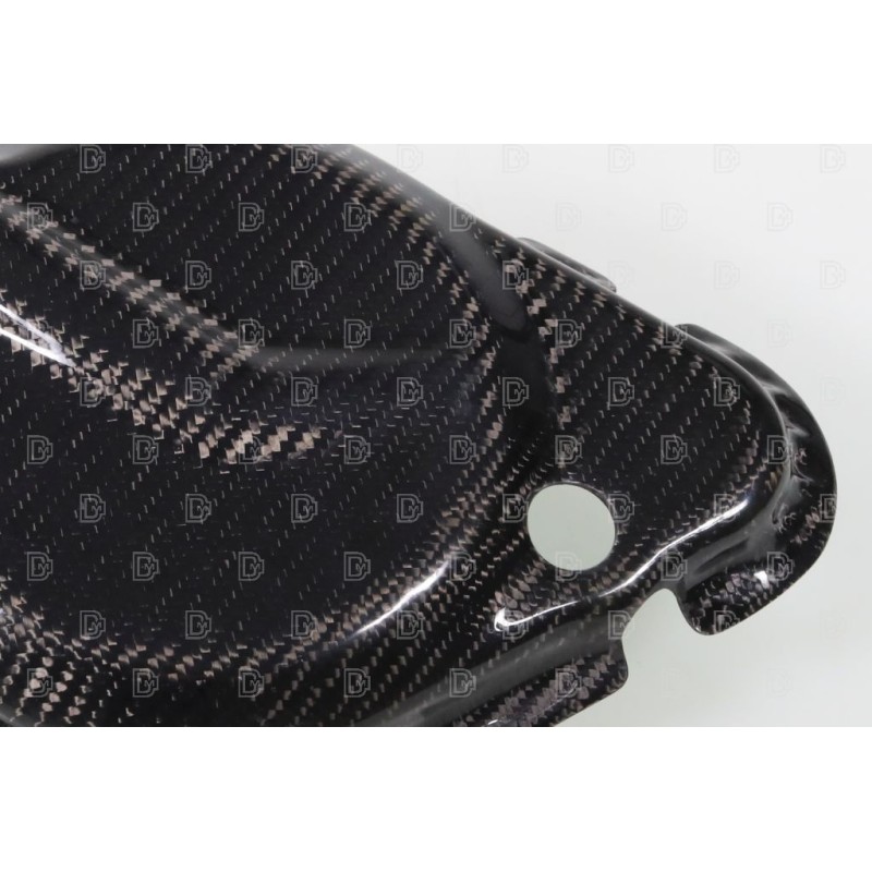 Protection carter droit carbone SKC ELECTRIC MOTION Factor-E/Pilot Edition