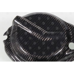 Protection carter droit carbone SKC ELECTRIC MOTION Factor-E/Pilot Edition