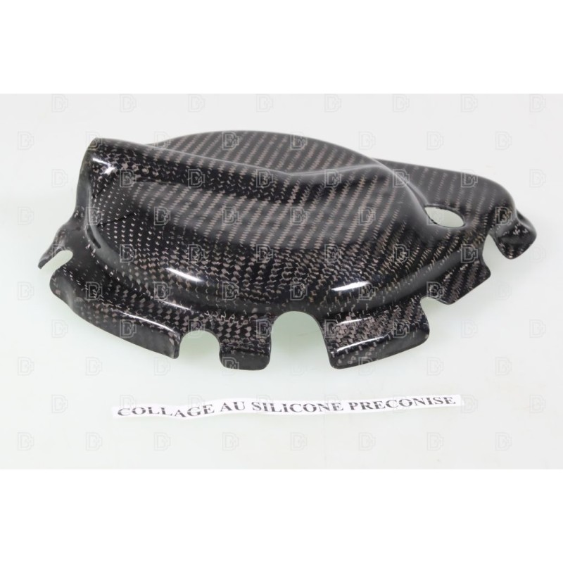 Protection carter droit carbone SKC ELECTRIC MOTION Factor-E/Pilot Edition
