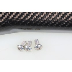 Protection silencieux echappement carbone SKC BETA evo 2t 125 integrale