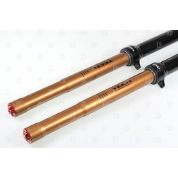 Fourche complète TECH GASGAS/ELECTRIC MOTION KASHIMA PRO SL alu Ø39mm