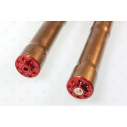 Fourche complète TECH GASGAS/ELECTRIC MOTION KASHIMA PRO SL alu Ø39mm