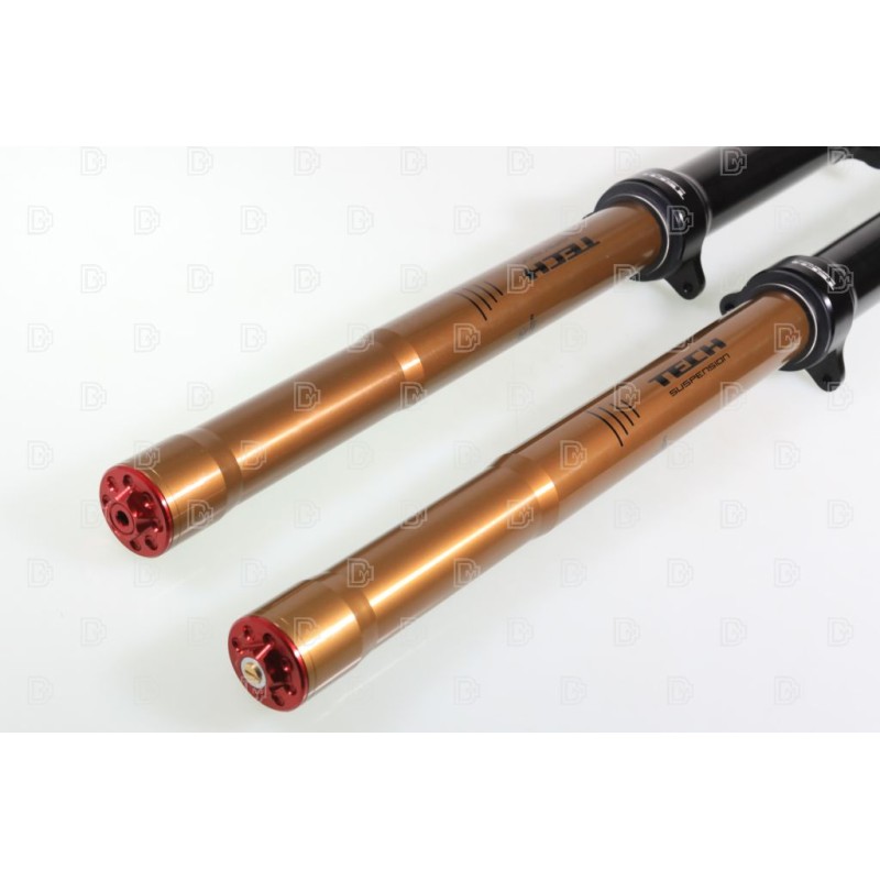 Fourche complète TECH KASHIMA PRO SL alu Ø39mm