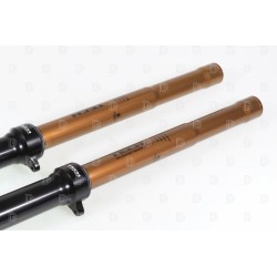 Fourche complète TECH KASHIMA PRO SL alu Ø39mm