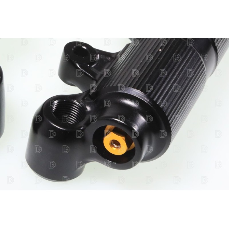 Fourche complète TECH KASHIMA PRO SL alu Ø39mm