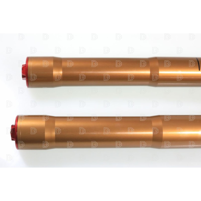 Fourche complète TECH KASHIMA PRO SL alu Ø39mm