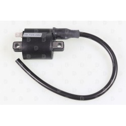 Bobine allumage TRS