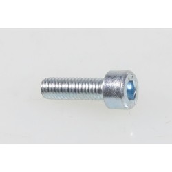 Vis pignon sortie moteur TRS On-e kids M5x15