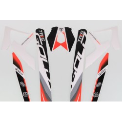 Autocollant cadre + bras oscillant TRS 2023 Gold la paire