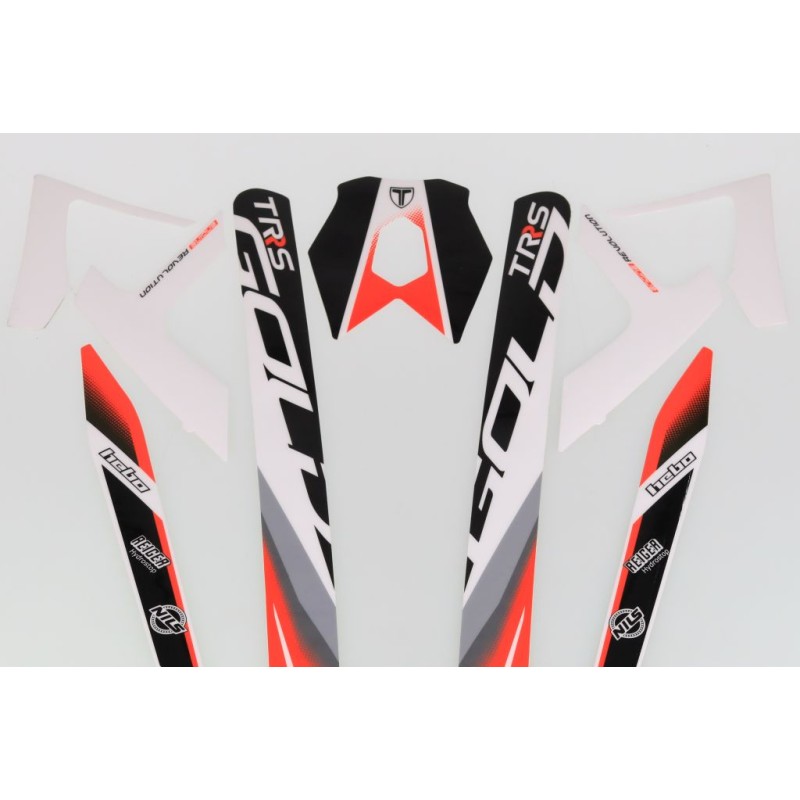 Autocollant cadre + bras oscillant TRS 2023 Gold la paire