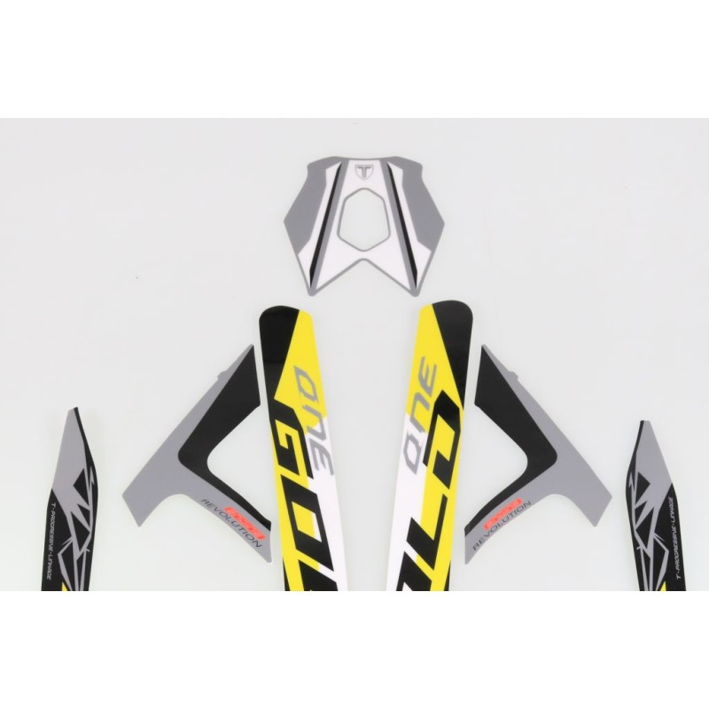 Autocollant cadre + bras oscillant TRS 2024 Gold la paire