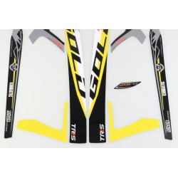 Autocollant cadre + bras oscillant TRS 2024 Gold la paire