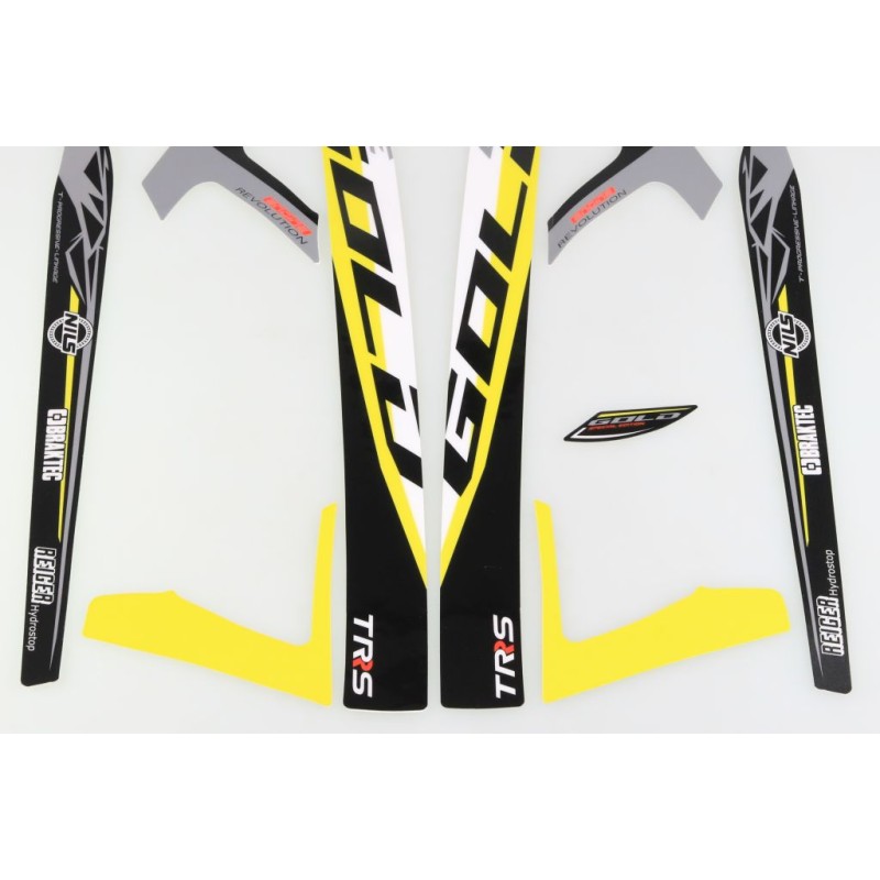 Autocollant cadre + bras oscillant TRS 2024 Gold la paire