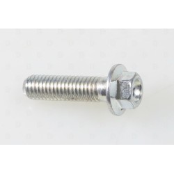 Vis fixation étrier AV TRS inférieur M8x30