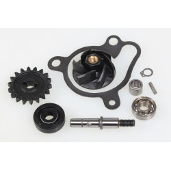 Kit pompe à eau TRS Gold/RR complet