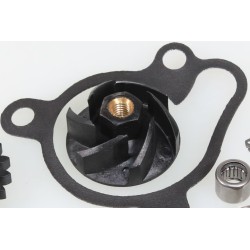 Kit pompe à eau TRS Gold/RR complet