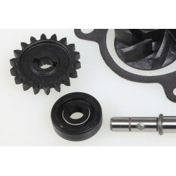 Kit pompe à eau TRS Gold/RR complet