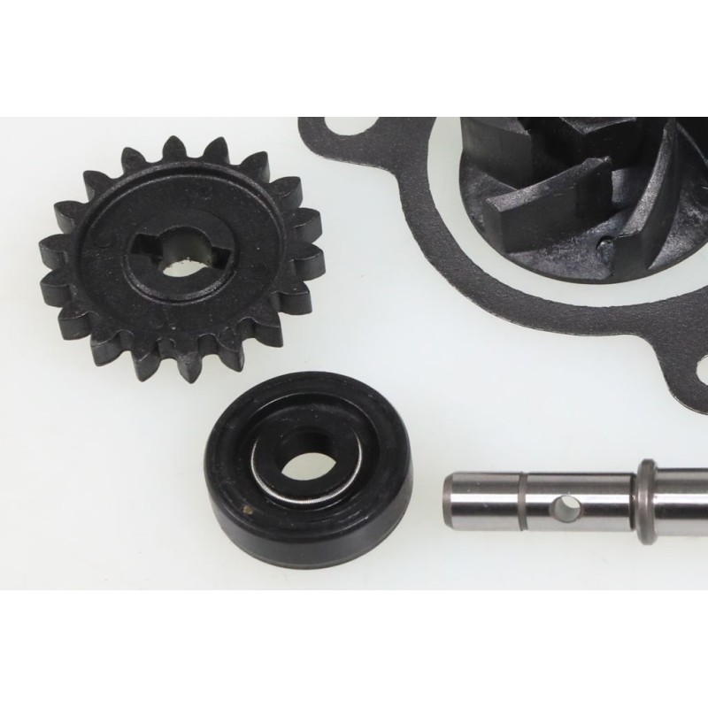 Kit pompe à eau TRS Gold/RR complet