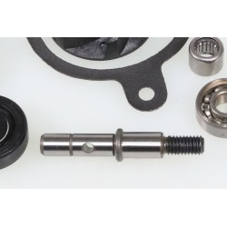 Kit pompe à eau TRS Gold/RR complet