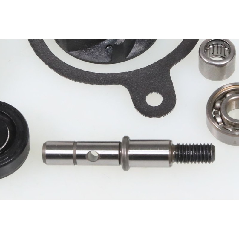 Kit pompe à eau TRS Gold/RR complet