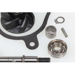 Kit pompe à eau TRS Gold/RR complet