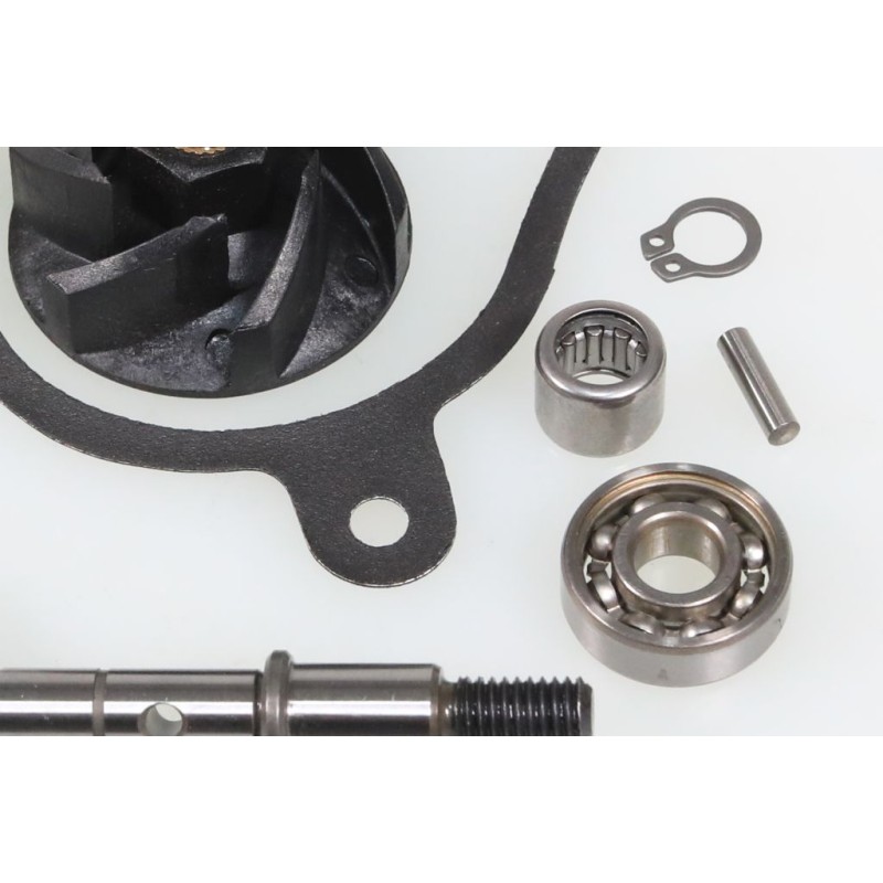 Kit pompe à eau TRS Gold/RR complet