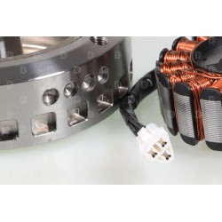Allumage VERTIGO 125/200 rotor/stator