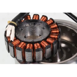 Allumage VERTIGO 125/200 rotor/stator